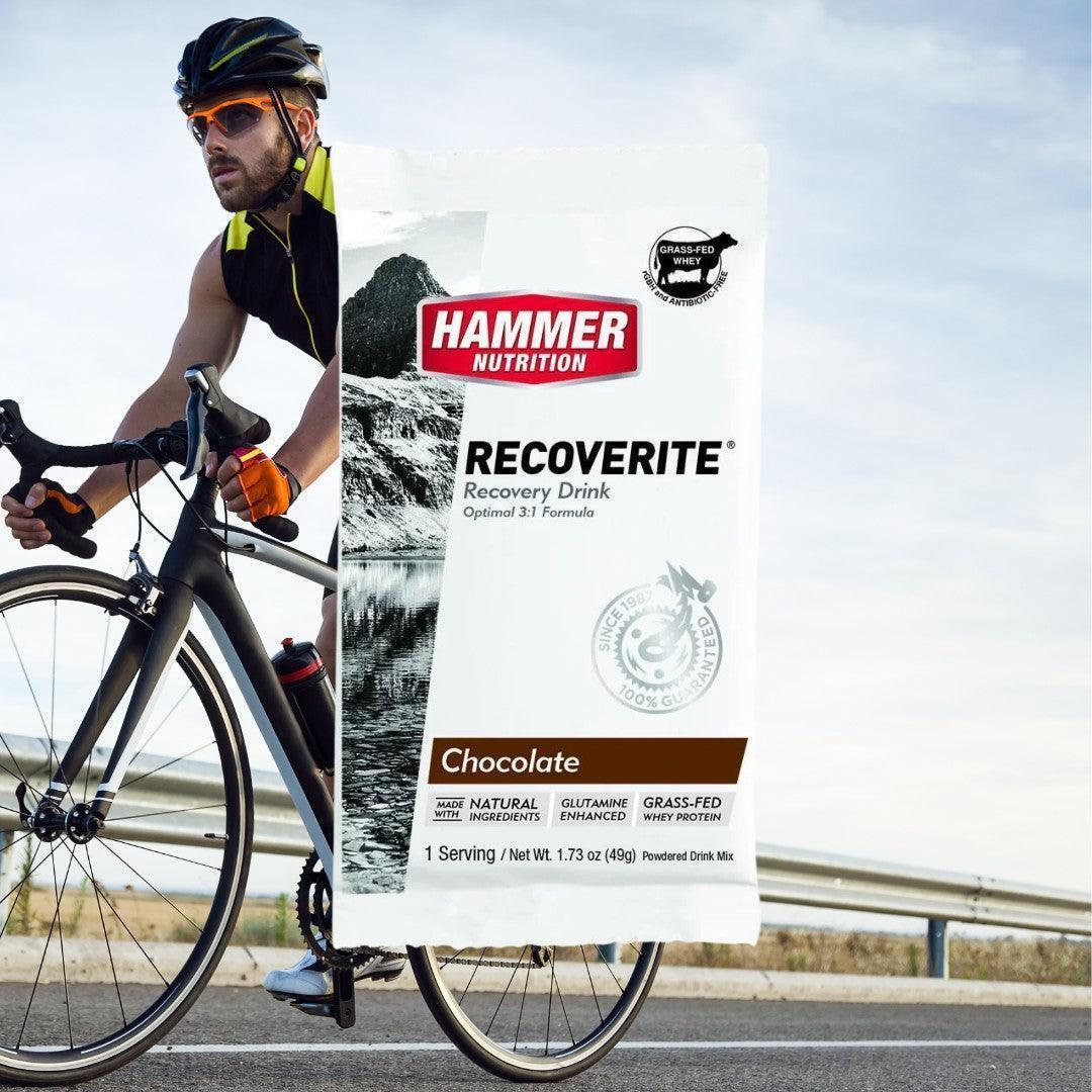 Hammer Recovery   Chocolate