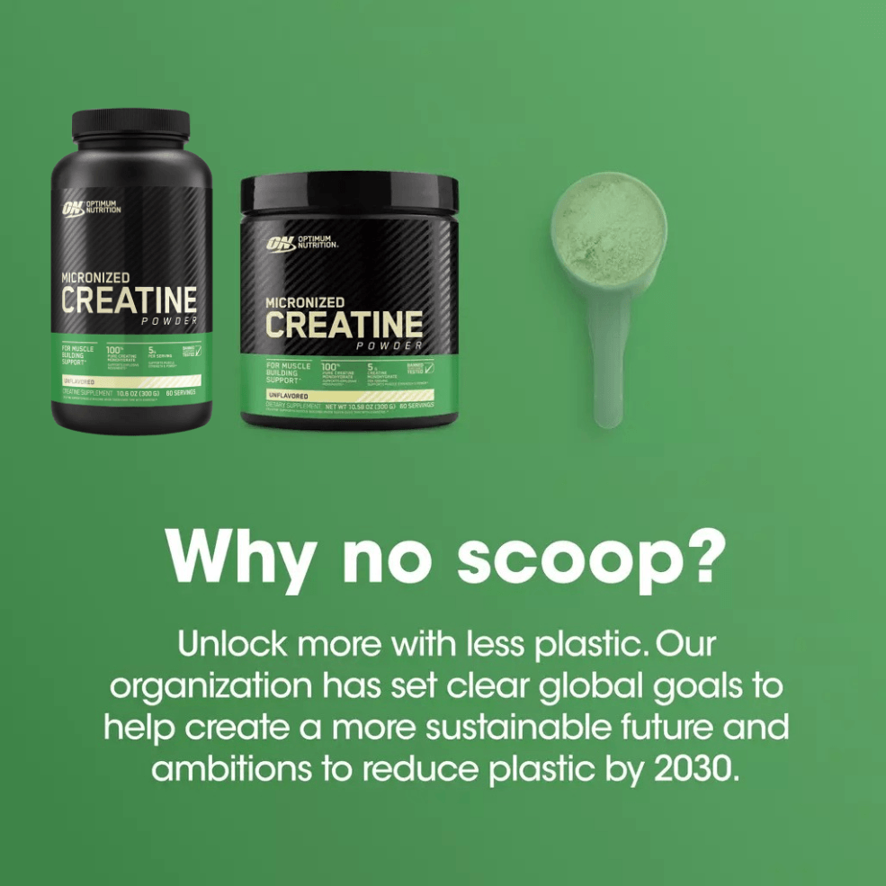 Optimum Nutrition Creatine Powder Micronised 317g