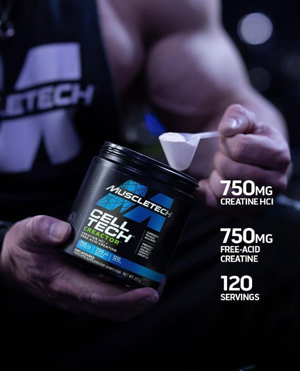 Creatina MuscleTech Cell Tech Creactor 240 g 120 Servicios Sin Sabor