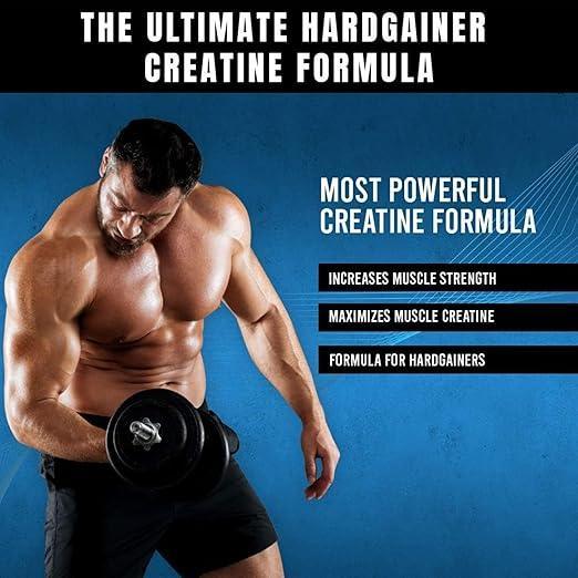 Creatina MuscleTech Cell Tech Perfomance Series   Fruit Punch   3 LB