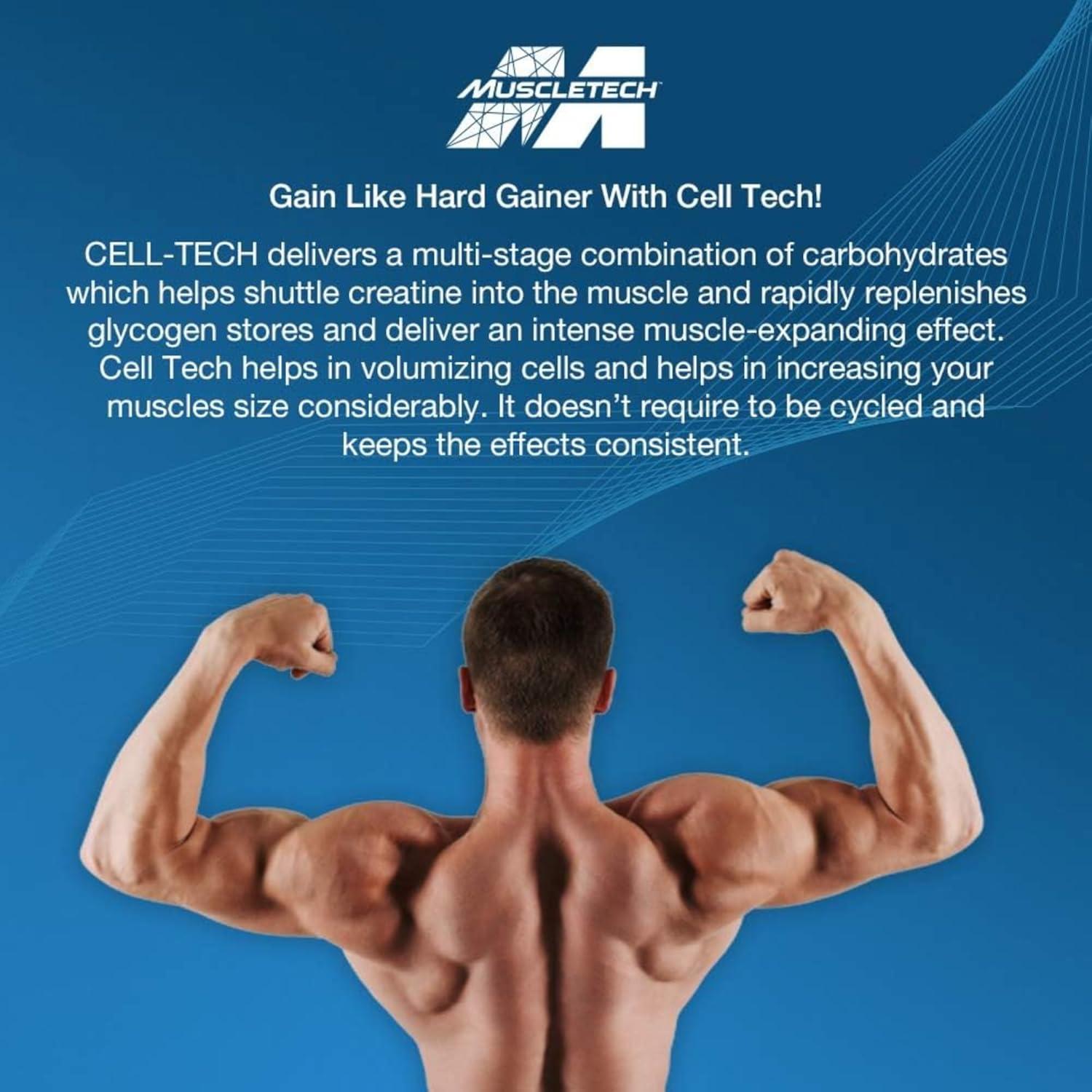 Creatina MuscleTech Cell Tech Creactor 240 g 120 Serv   Fruit Punch