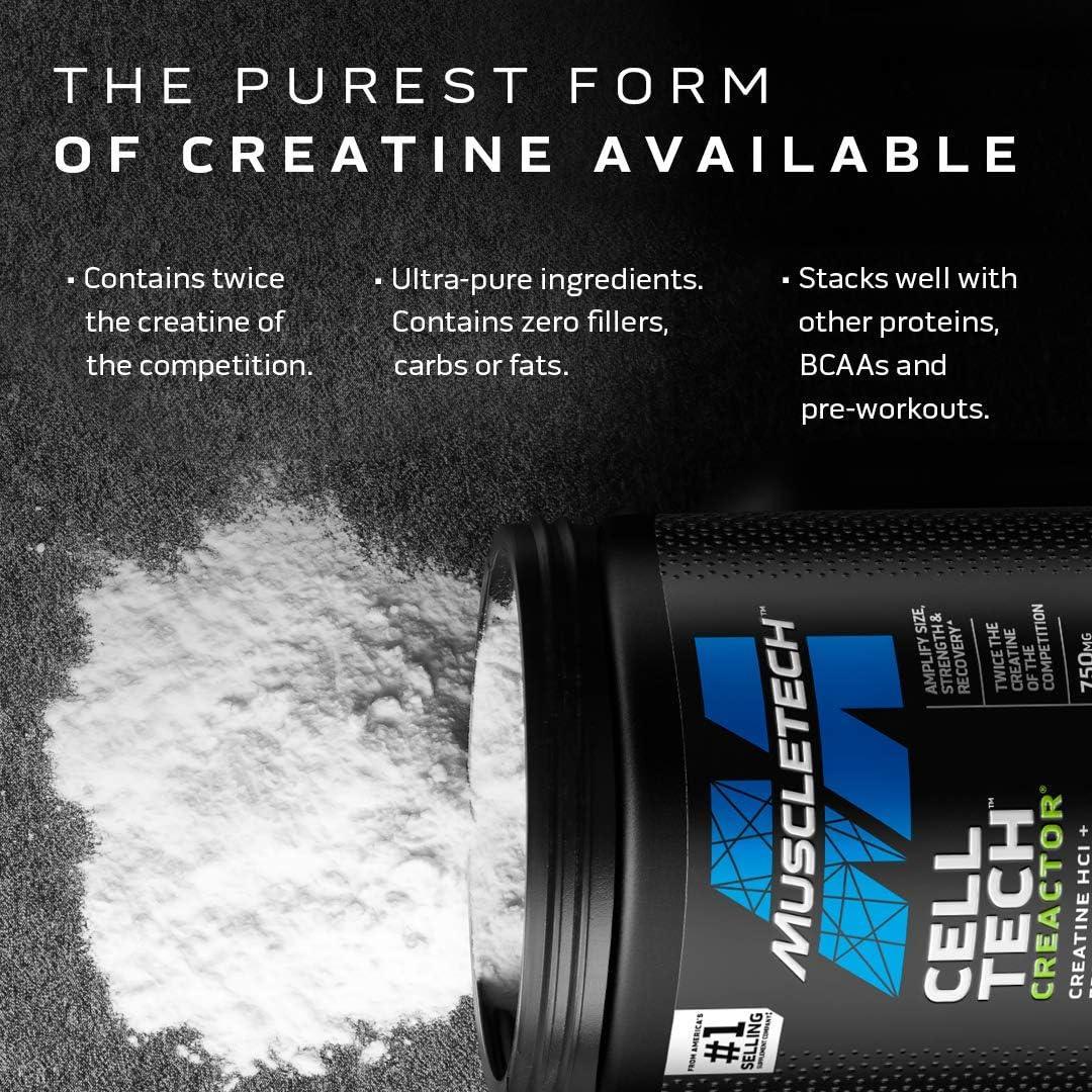 Creatina MuscleTech Cell Tech Creactor 240 g 120 Servicios Sin Sabor