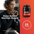 Proteína Optimum Nutrition 100% Whey Gold Standard   2lb   French Vainilla Cream