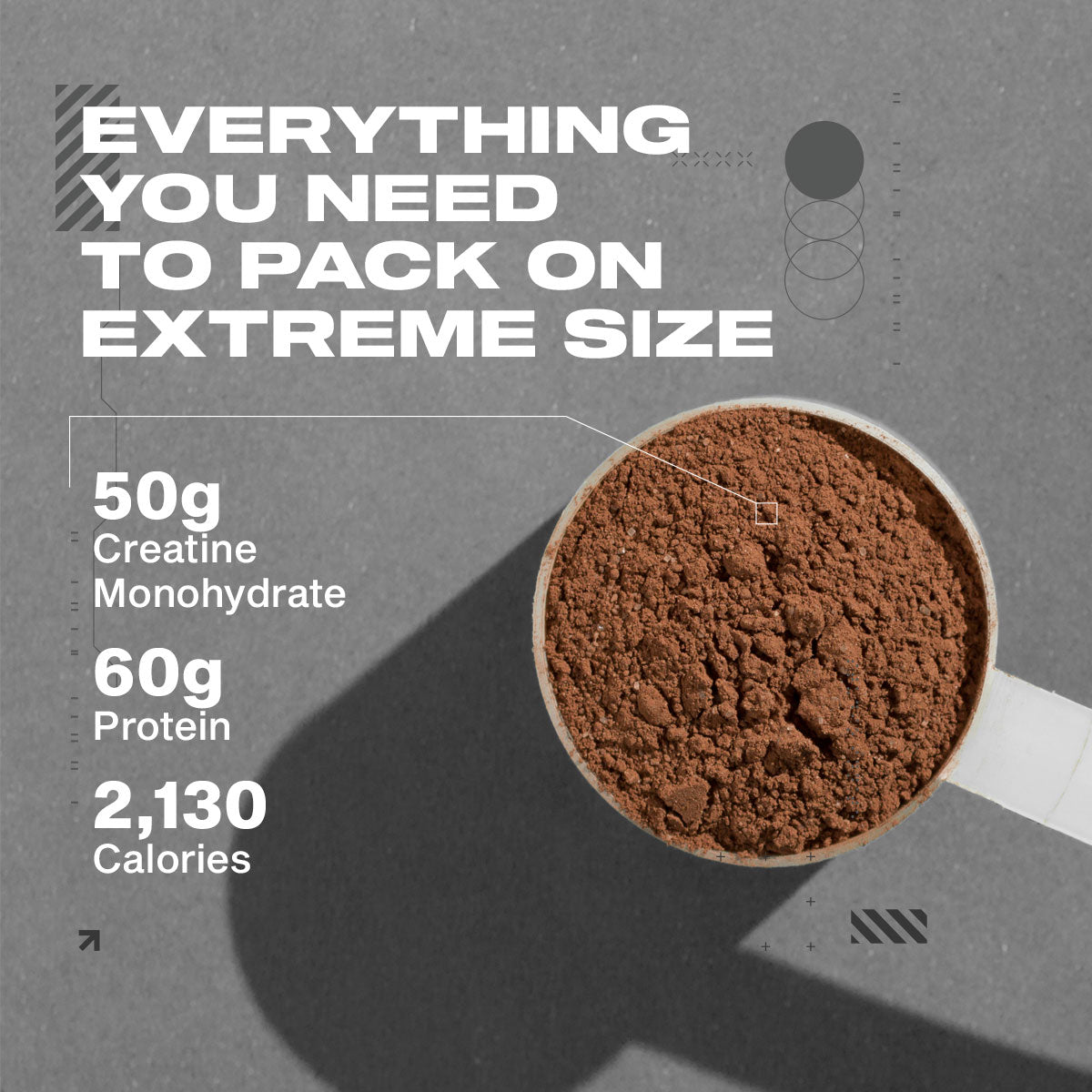 MuscleTech Mass Gainer   Tech Extreme 2000 6 lb   Triple Chocolate Brownie