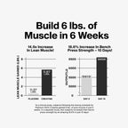 Creatina MuscleTech Platinum 100%  400 g Sin sabor