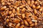 Zumub Barrita de Proteína Caramelo y maní 31 g