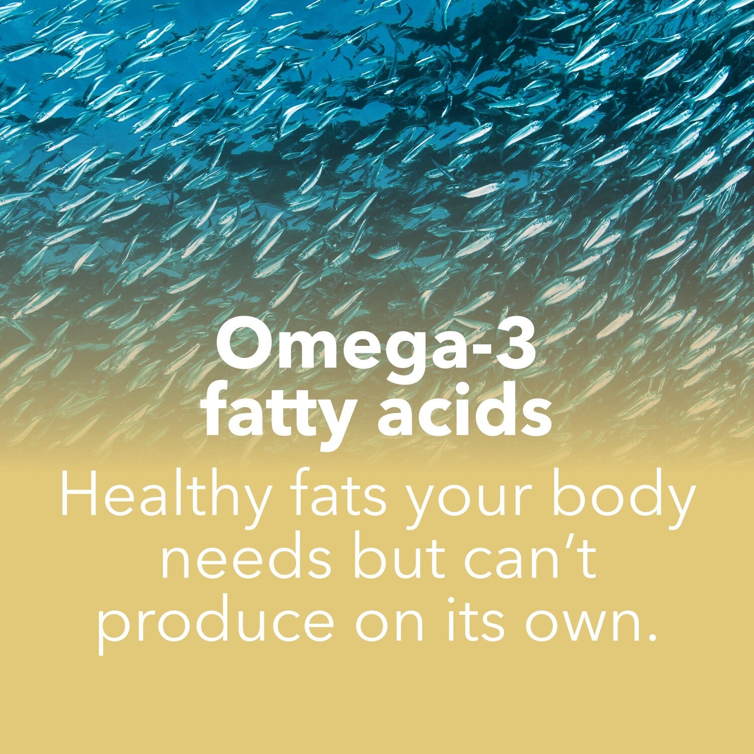 Prozis Omega 3 EPA Plus  90 Capsulas